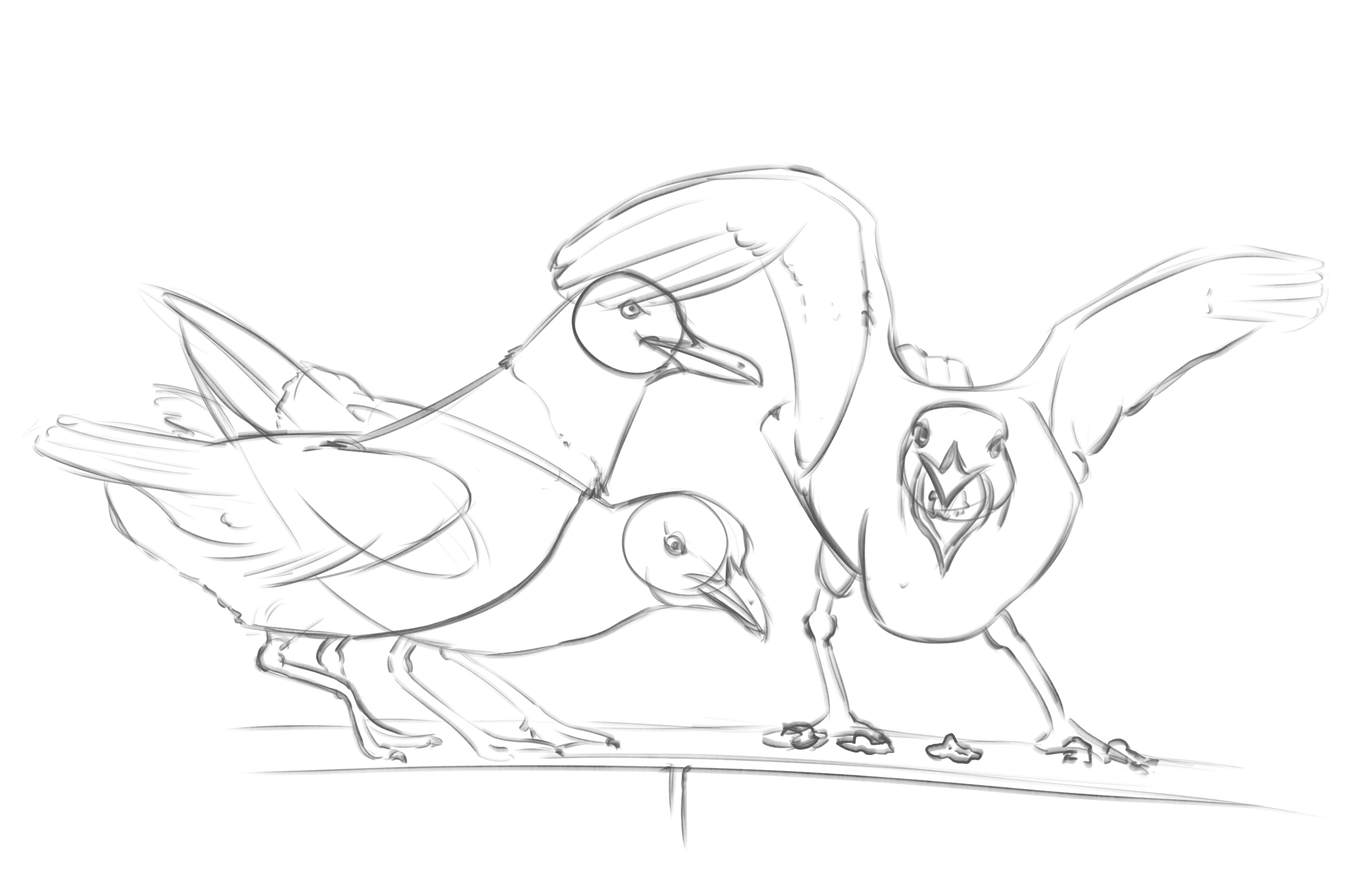 Drawing of seagulls